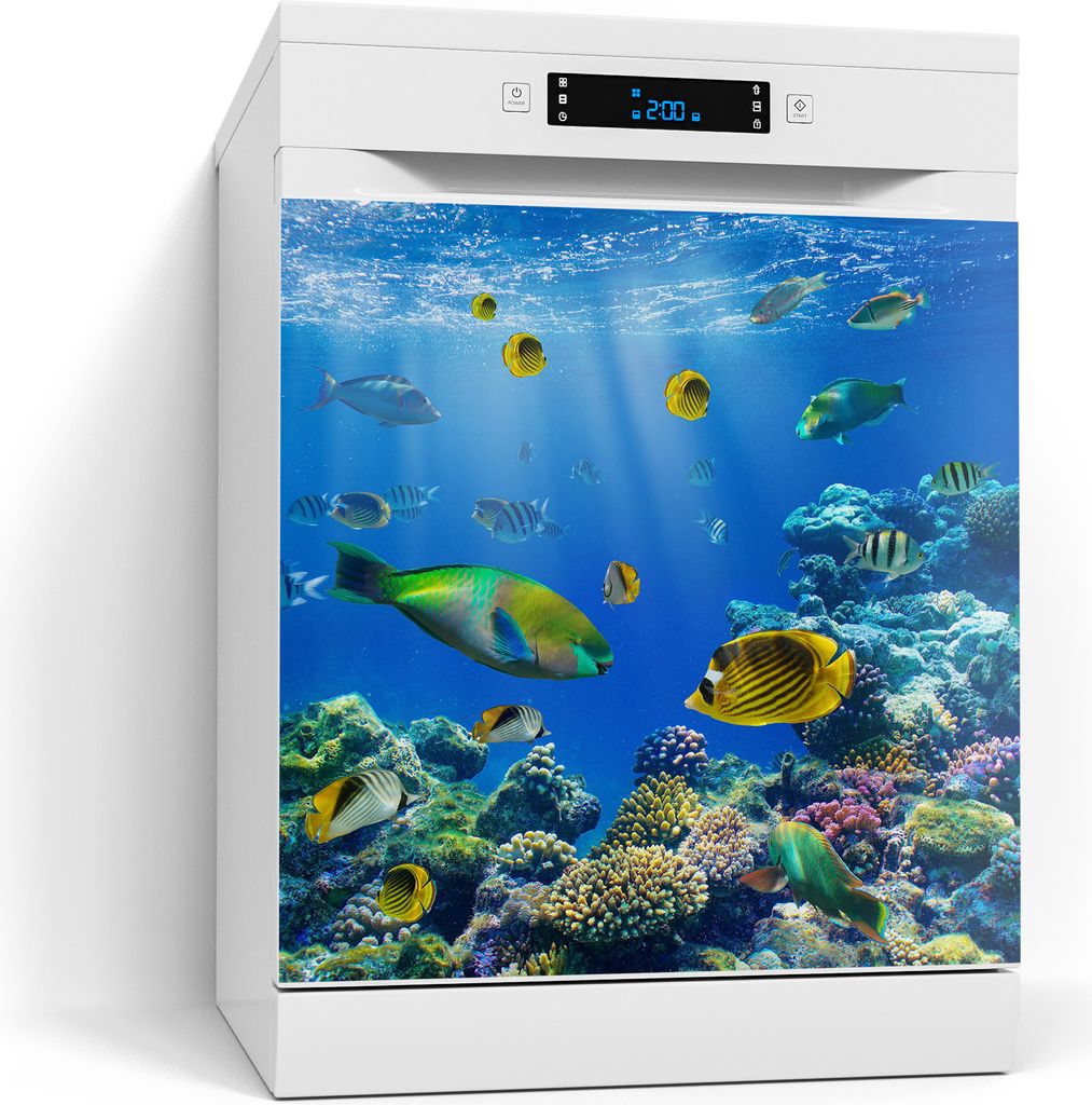 DEQORI Magnetmatte Spülmaschine beschreibbar 60x60 cm 'Unterwasserwelten' Magnetfolie
