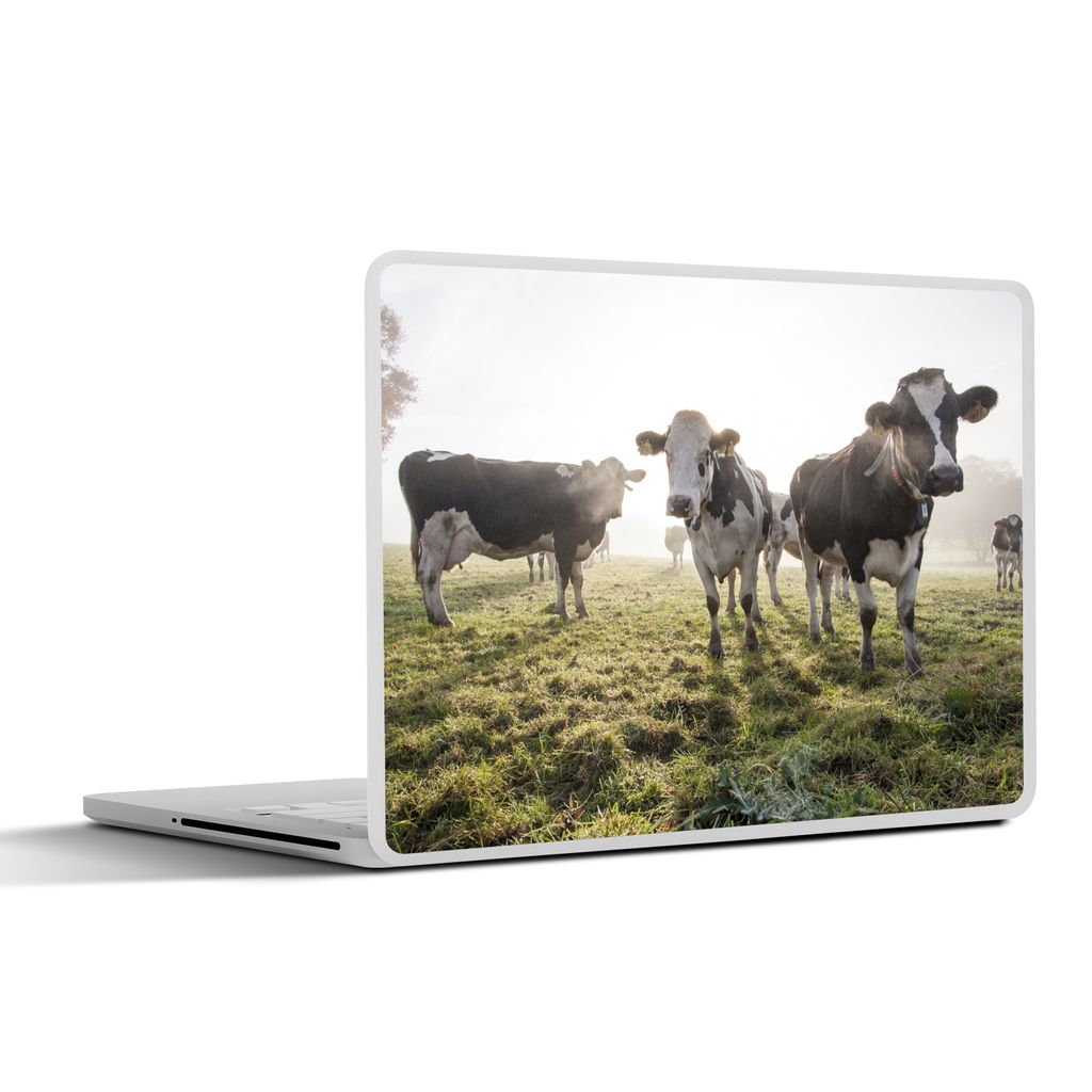 MuchoWow Laptop Aufkleber Sticker Cover Kühe - Licht - Gras - Tiere 30x22 cm - Laptop-Sticker