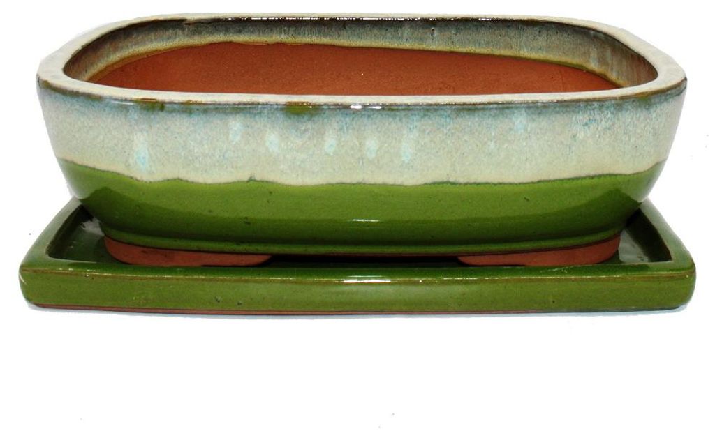 vaso per bonsai con sottovaso, misura 6 - verde e crema - Immagine del prodotto 