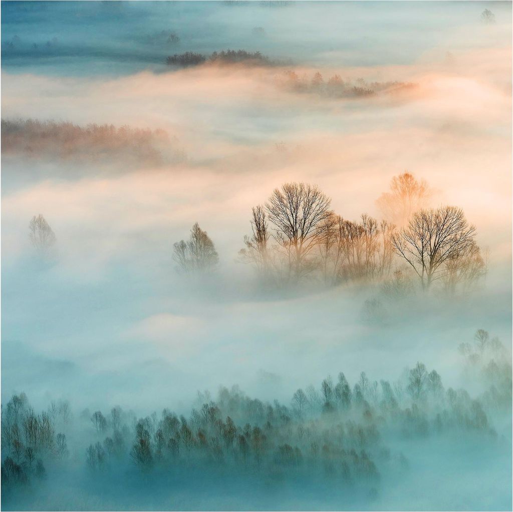 Fototapete Wald - Vliestapete - Bildtapete UV-beständig Sonnenuntergang beige Motiv Wandtapete geruchsfrei