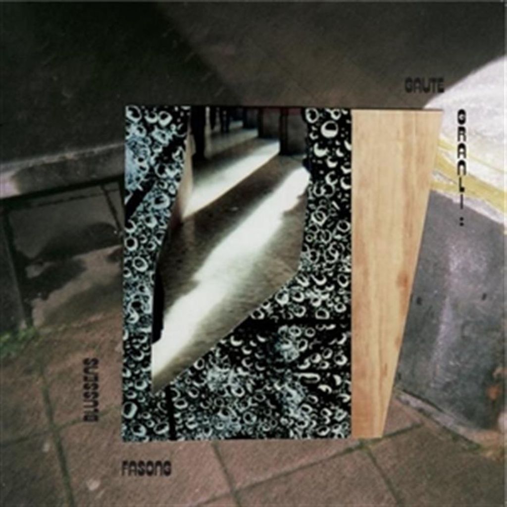 Gaute Granli: Blusense Fasong - 375 Media - (Vinyl / Experimental)