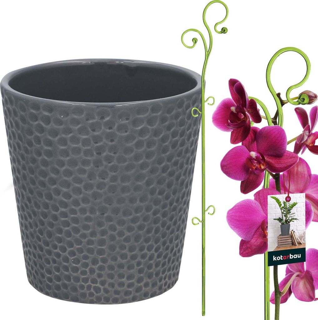 KOTARBAU Set aus 11 cm Aschetopf mit 58 cm grünem Blumenständer, Keramik-Blumentopf, Kunststoff-Pflanzständer, Orchideen-Set