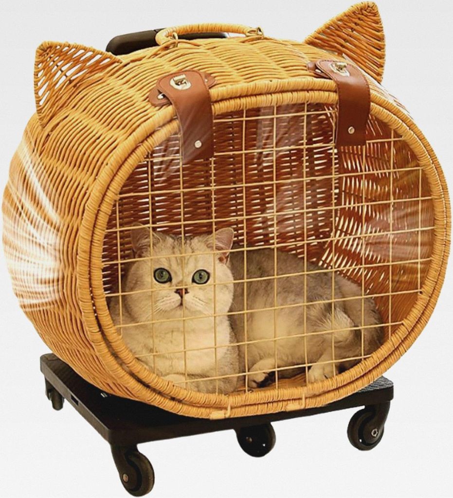 Kinderwagen für kleine Hunde, Kinderwagen aus Rattan mit Rädern und Katzentransporter, Retro-Transportkorb für Welpen und mittelgroße Katzen | ...