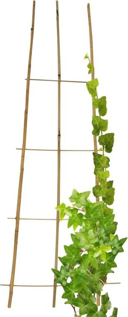Treillis de Support 110cm en Bambou pour Balcon et Jardin x25 - 2