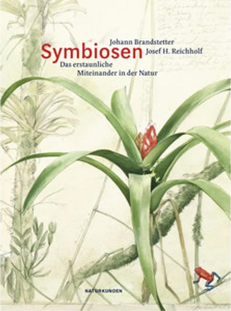 Symbiosen Complément Alimentaire Flore Intestinale et Confort Digestif