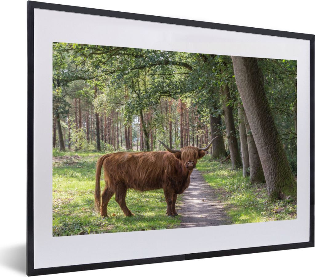 MuchoWow MuchoWow Gerahmtes Poster Schottisches Hochlandrind - Kröte - Baum 60x40 cm - Poster mit zchwarzem Bilderrahmen - Schlafzimmer - Plak...