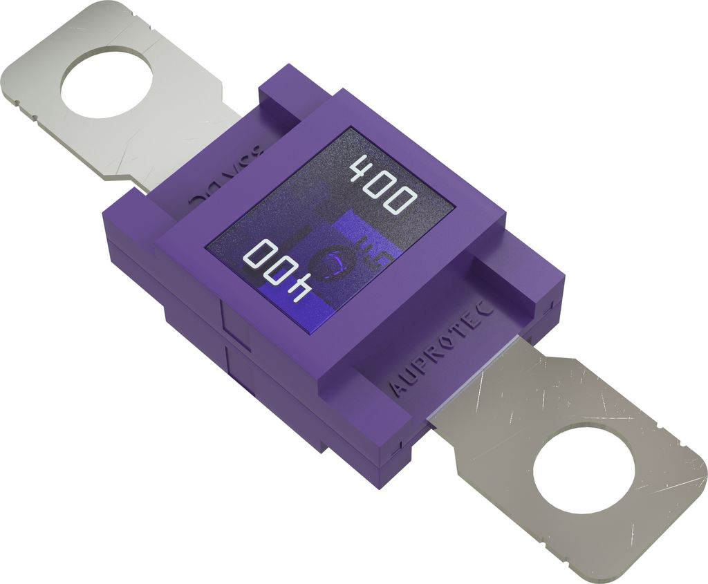 1x AUPROTEC Mega Hochstromsicherung 400A Schraubsicherung violett