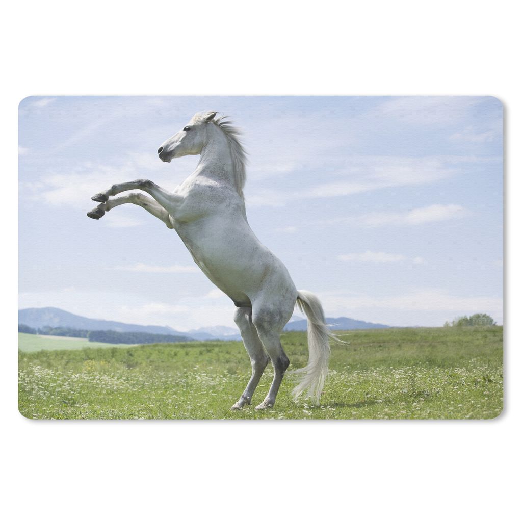 MuchoWow Schreibtischunterlage Pferd - Aufzucht - Natur 60x40 cm - XXL Mauspad - Großes Mauspad