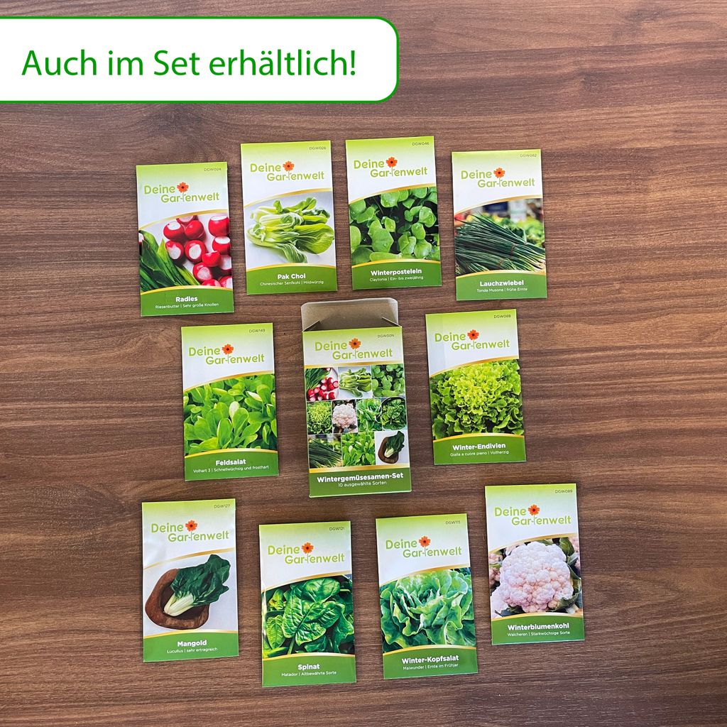 Spinat Matador Samen - Spinacia oleracea - Spinatsamen - Produktbild 6