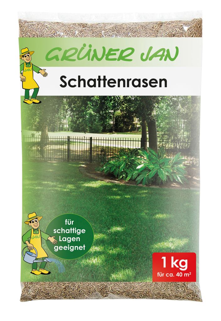 80 m² 2 kg Schattenrasen Rasen Gras Samen Wiese für ca 