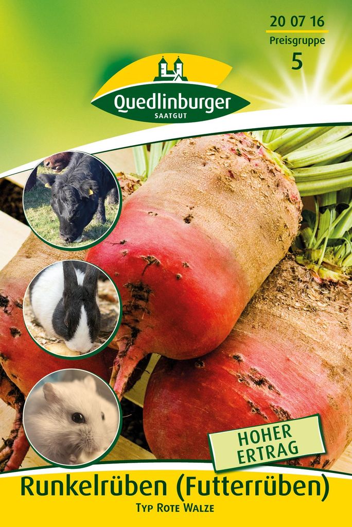 Artikelbild 2 von 'Futterrübe Typ rote Walze (20 g)' aus der Kategorie Möhrensamen