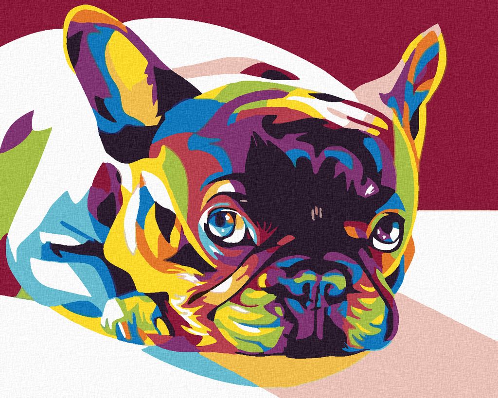 Zuty - Malen nach Zahlen - FARBIGE BULLDOGGE, 40x50 cm, ohne Keilrahmen