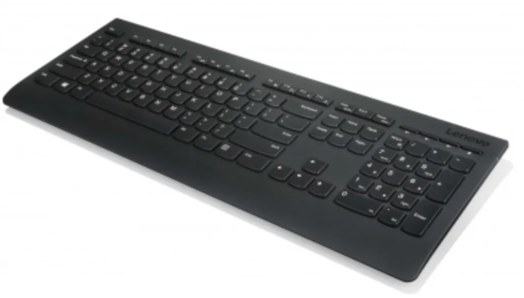 Clavier d'ordinateur sans fil Lenovo Professional 2.4 GHz Ergonomique Noir