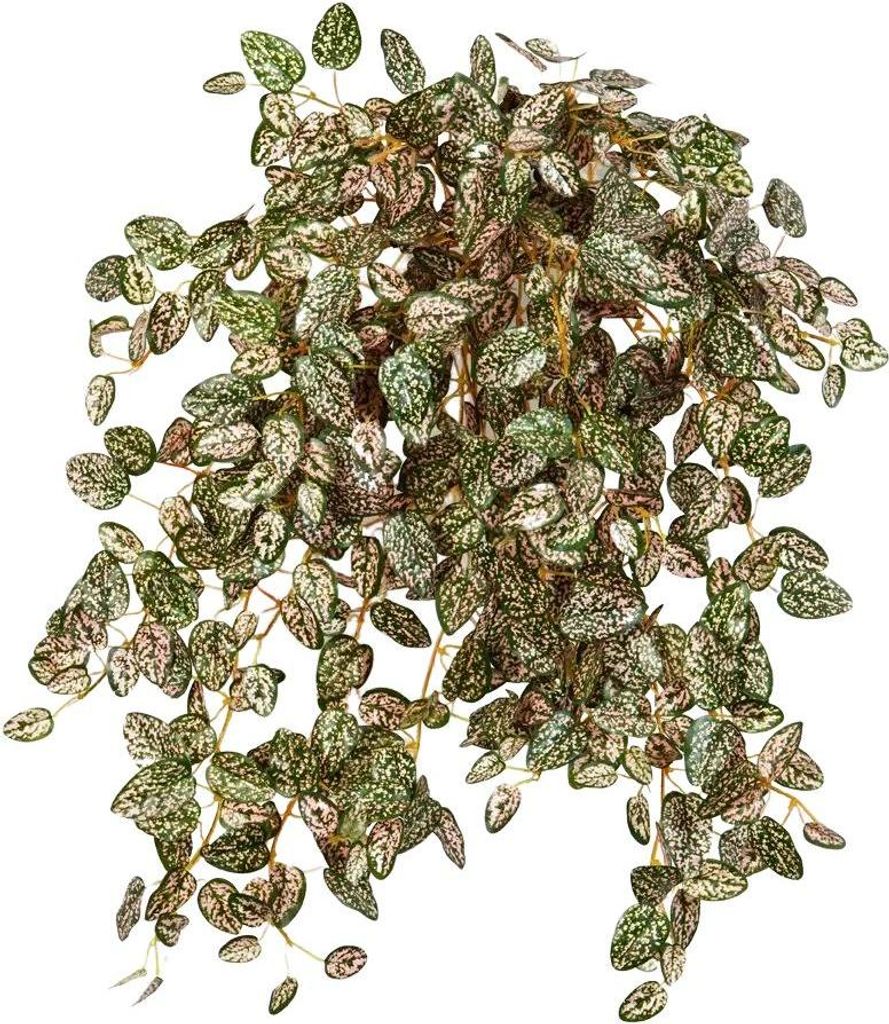 aplanta Künstliche Hypoestes - Eliah, für drinnen, Kunstpflanze, wie echt, Allergiker geeignet, pflanzliche Dekoration Praxis, Office & Wohnzimmer