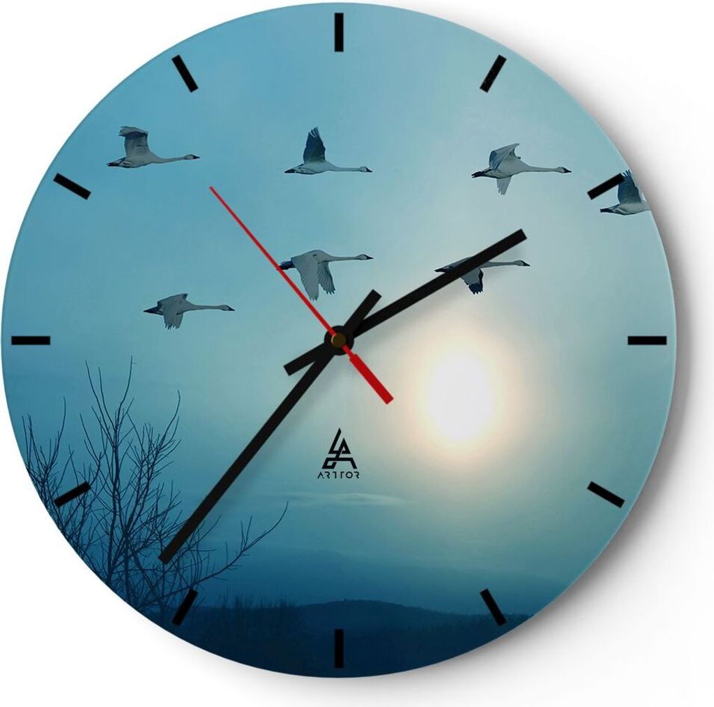 Wanduhr - Rund - Glasuhr - Storch Vogel Natur - 40x40cm - Schleichendes Uhrwerk - Lautlos - zum Aufhängen bereit - Dekoration Modern - Wanddekorat...