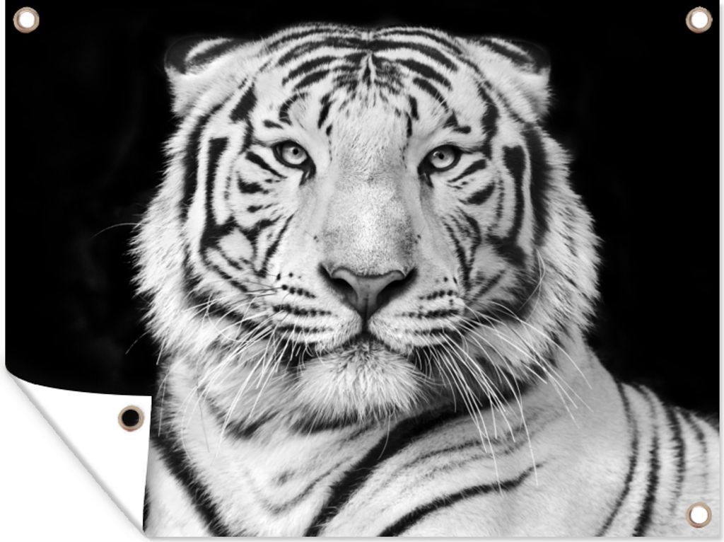 MuchoWow 80x60 cm Outdoor-Poster Gartendeko Sichtschutz Garten Poster für den Garten Tiger - Schwarz - Weiß - Porträt - Tiere