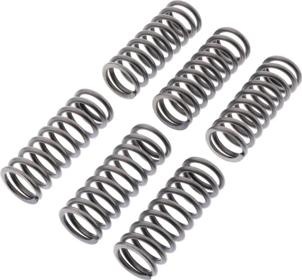 Ressorts d'embrayage moto EBC CSK231 pour Indian Scout 6 pièces