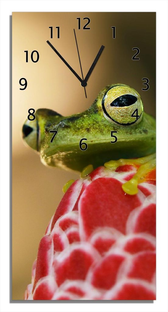 Wallario Design Wanduhr Frosch sitzt auf einer Knospe aus Echtglas, Größe 30 x 60 cm