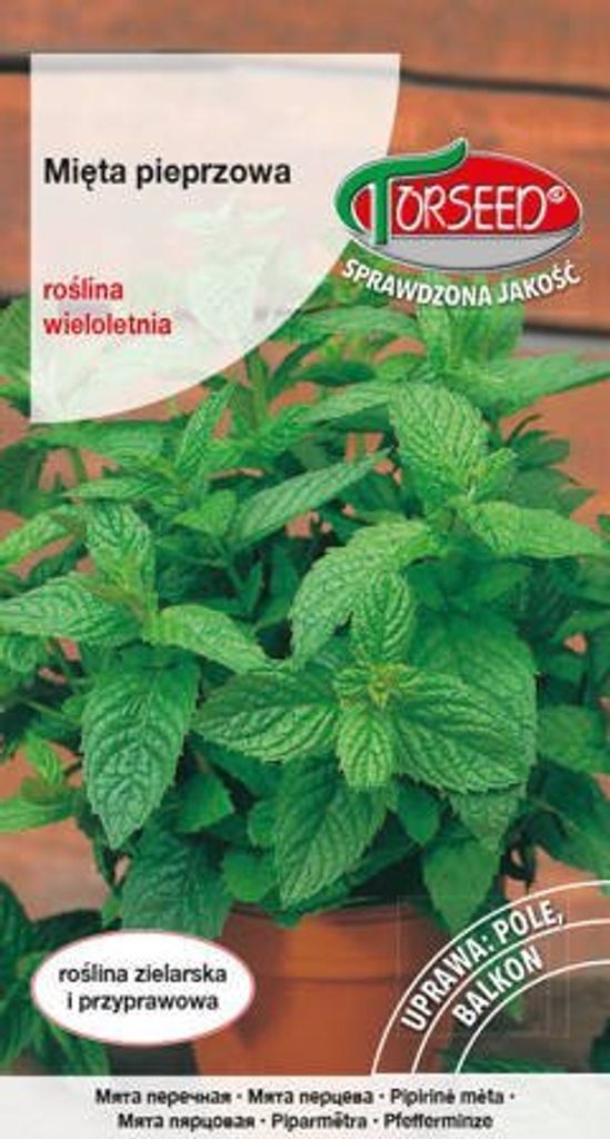 Samen der Pfefferminze piperita 0.1g - Torseed