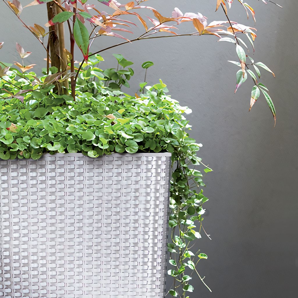Vaso RATO Tubus 400, con inserto, bianco Vasi per fiori