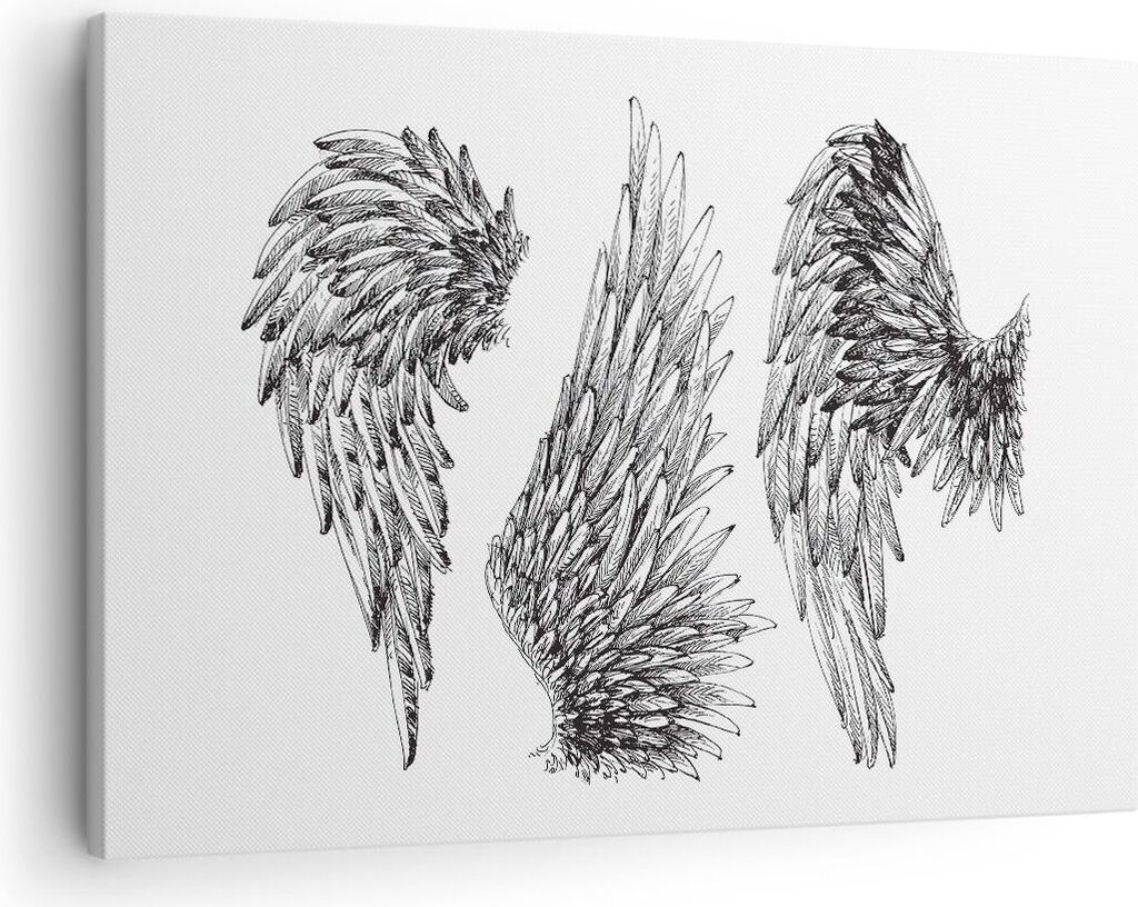 Bild auf Leinwand - Leinwandbild - Zeichnung Engel Flügel Federn - 70x50cm - Wand Bild - Wanddeko - Leinwanddruck - Bilder - Kunstdruck - Wanddeko...