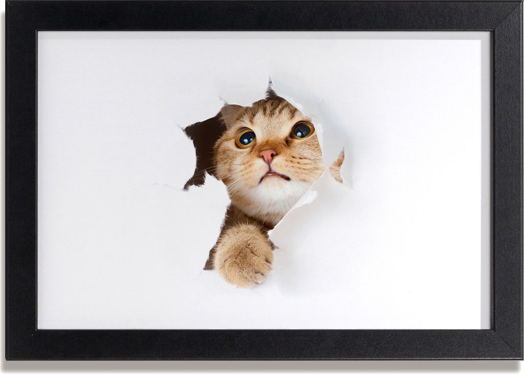 Bild 30x20 MDF-Rahmen, Wandkunst Katze im Loch