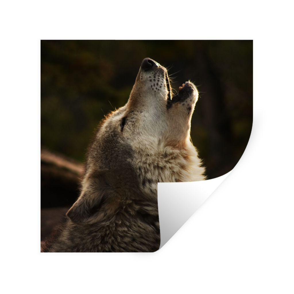 MuchoWow Wandtattoo Wandsticker Wandaufkleber Wolf - Grau - Tiere 30x30 cm Selbstklebend und Repositionierbar - Repositionierbar - Wasser abweisend