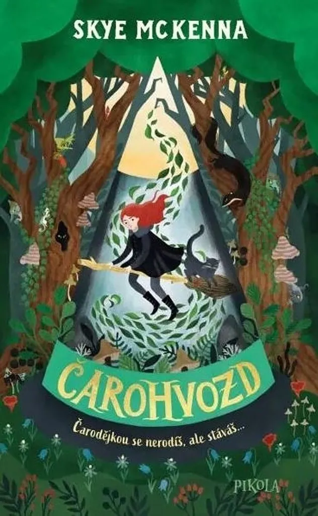Čarohvozd McKenna Skye Roman avec Couverture Illustrée et Récit Épique