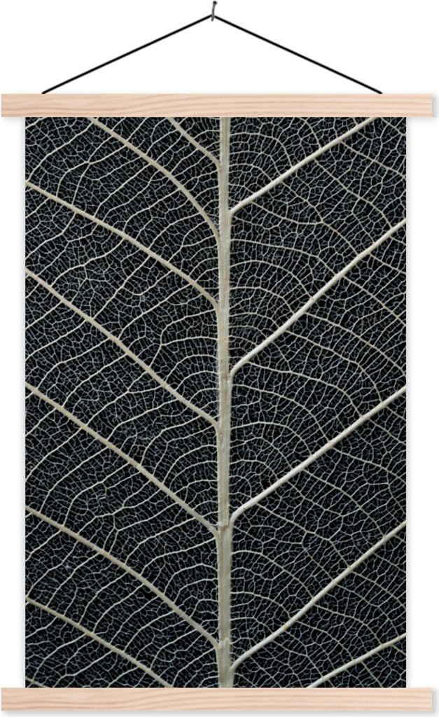 MuchoWow Textilposter Eine Nahaufnahme eines Blattskeletts auf schwarzem Hintergrund 120x180 cm mit holzfarbenen Rahmen - Textil-Plakat