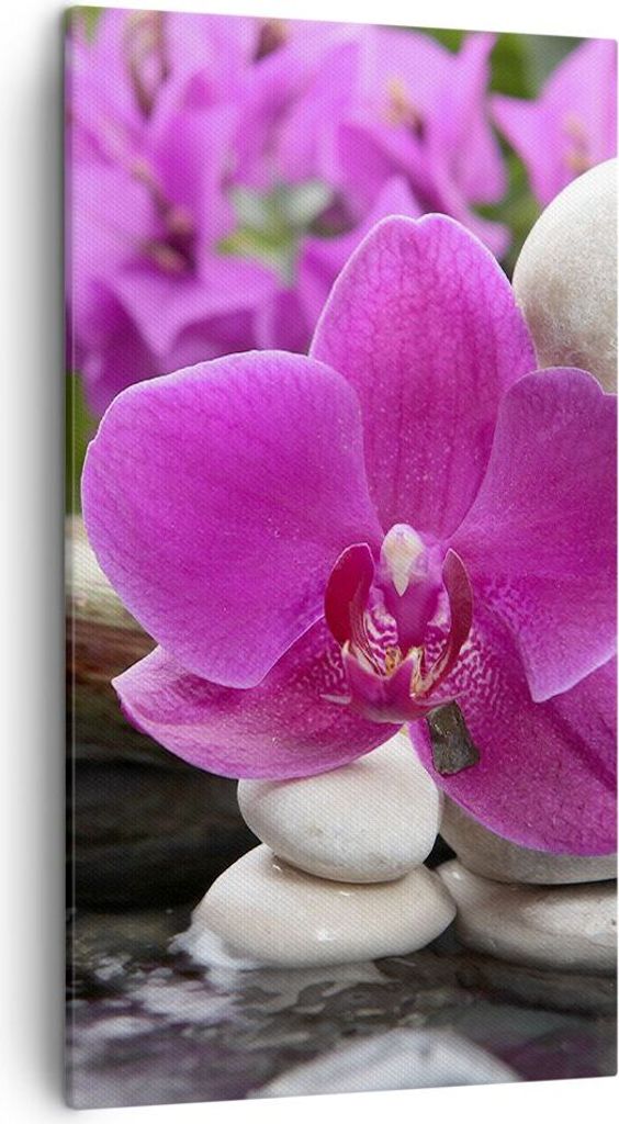 Bild auf Leinwand - Leinwandbild - Orchidee Bambus Dekoration Spa - 45x80cm - Wand Bild - Wanddeko - Leinwanddruck - Bilder - Kunstdruck - Wanddeko...