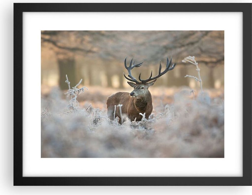 Gerahmtes Poster - Schwarzer Rahmen - Hirsch Wald Natur - 40x30 cm - Wand Bild - Wanddeko - Wandbilder - Kunstposter - Wandposter - Bilderrahmen - ...