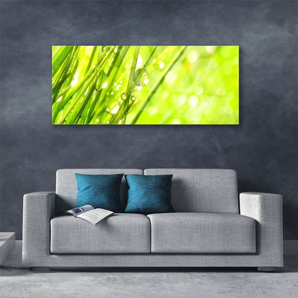 Acrylglasbilder 125x50 Wandbild Druck Gras Natur