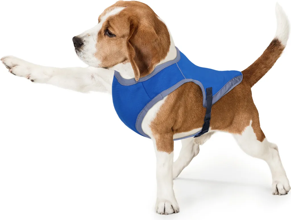 Giacca Rinfrescante Cani Riflettente: Sistema Cooling Evaporativo 2026