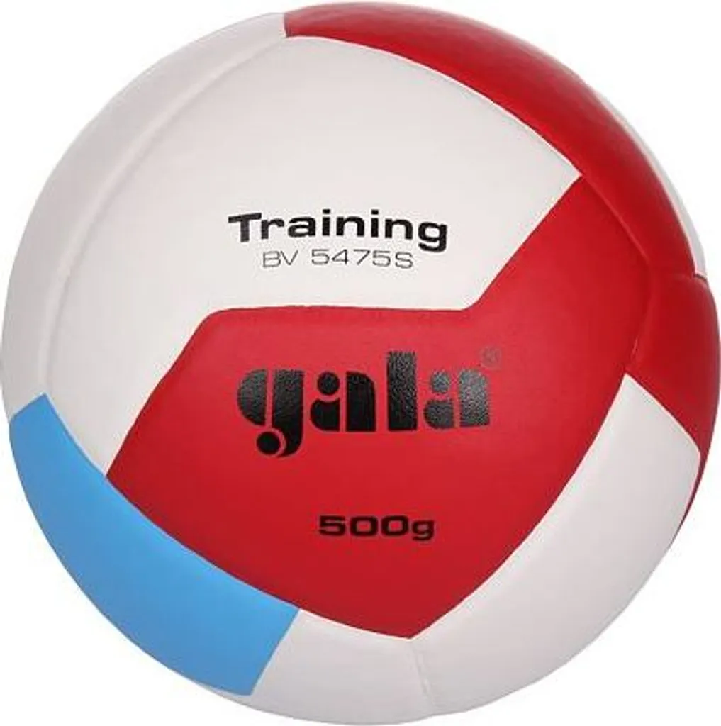Gala BV5475S Training 500g ballon de volley-ball taille 5 lesté durable