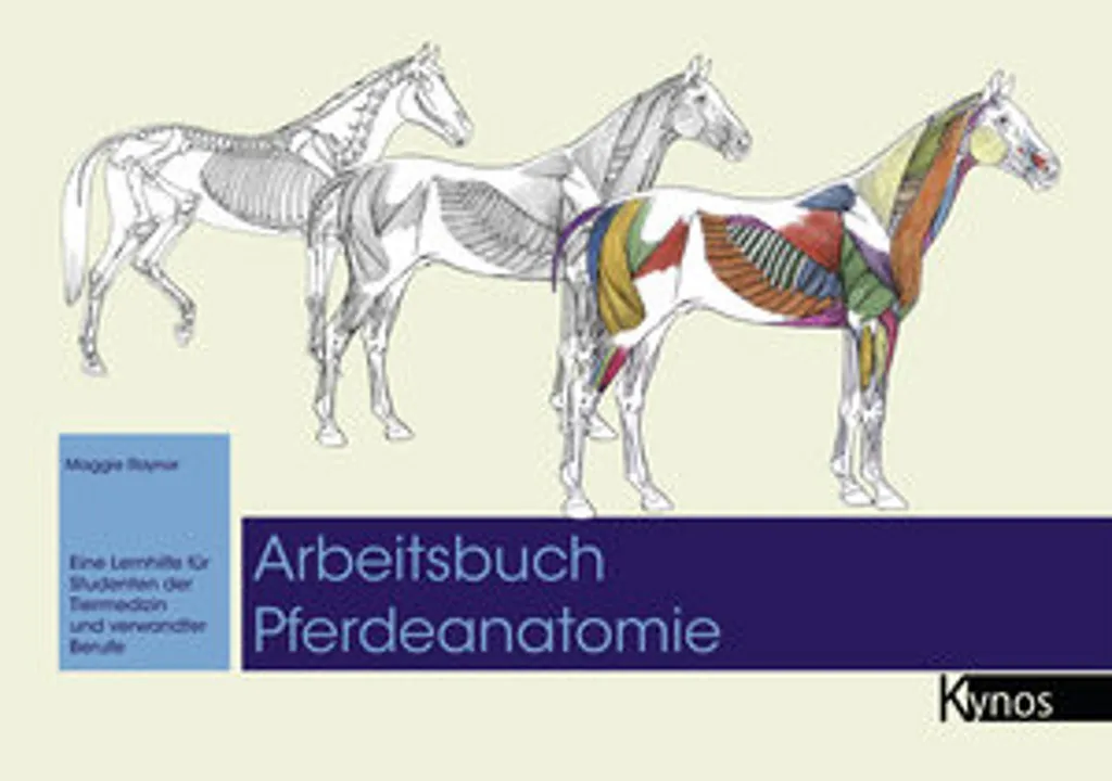 Cahier d'exercices d'anatomie équine - Guide pratique illustré de 120 pages