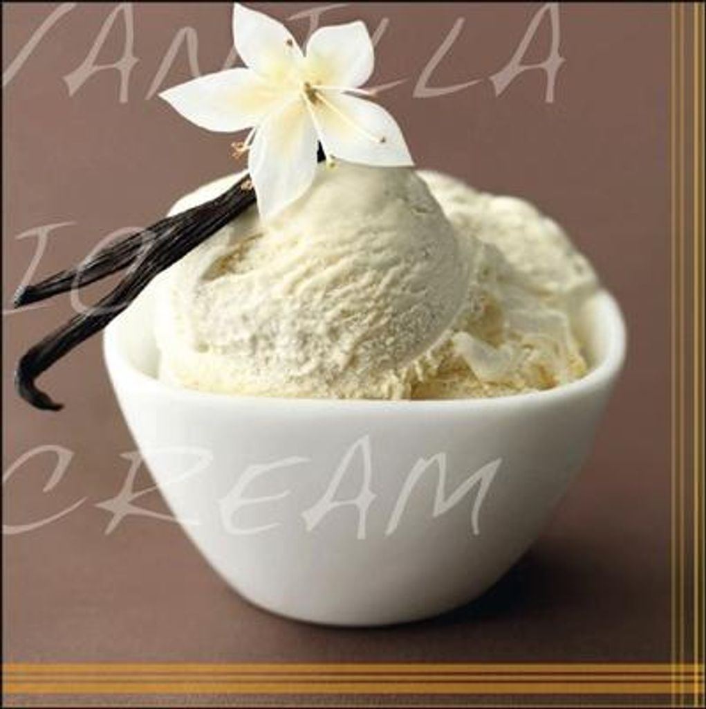 Leinwandbild Vanilla Ice Cream 27x27 cm