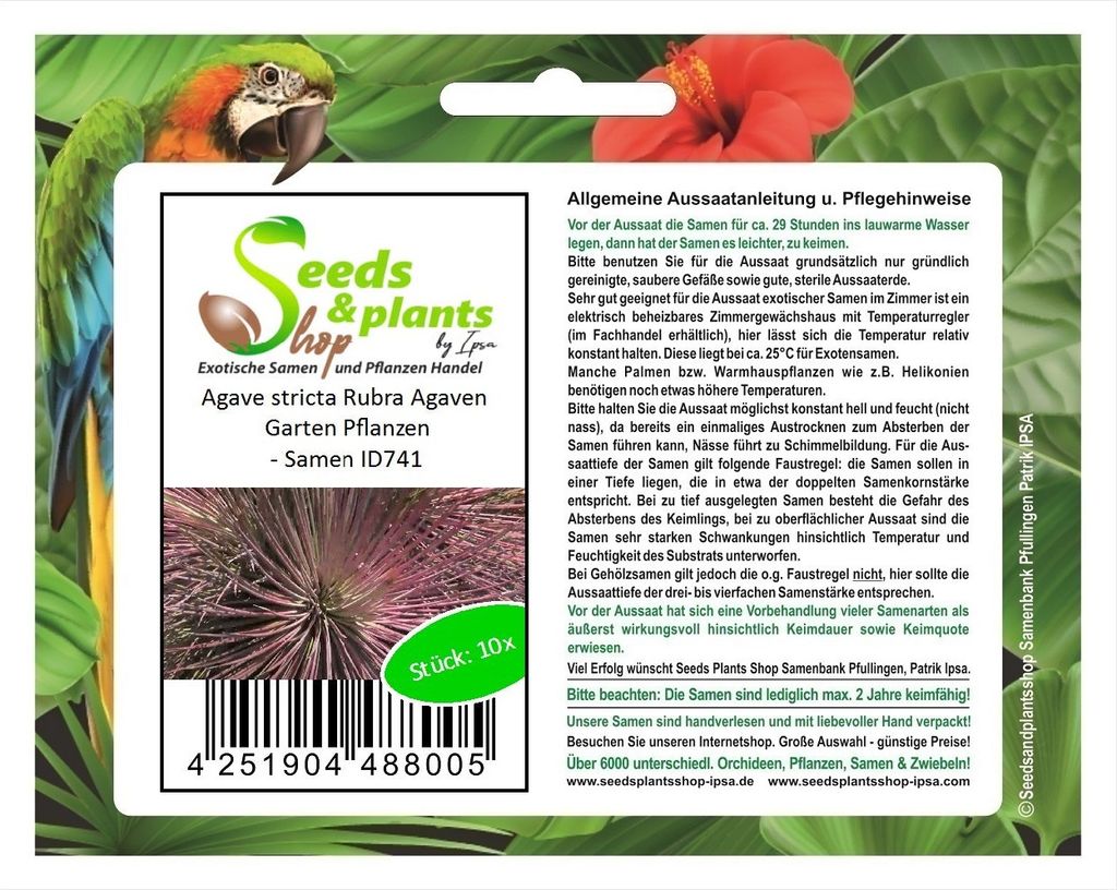 10x Agave stricta Rubra Agaven Garten Pflanzen - Samen ID741
