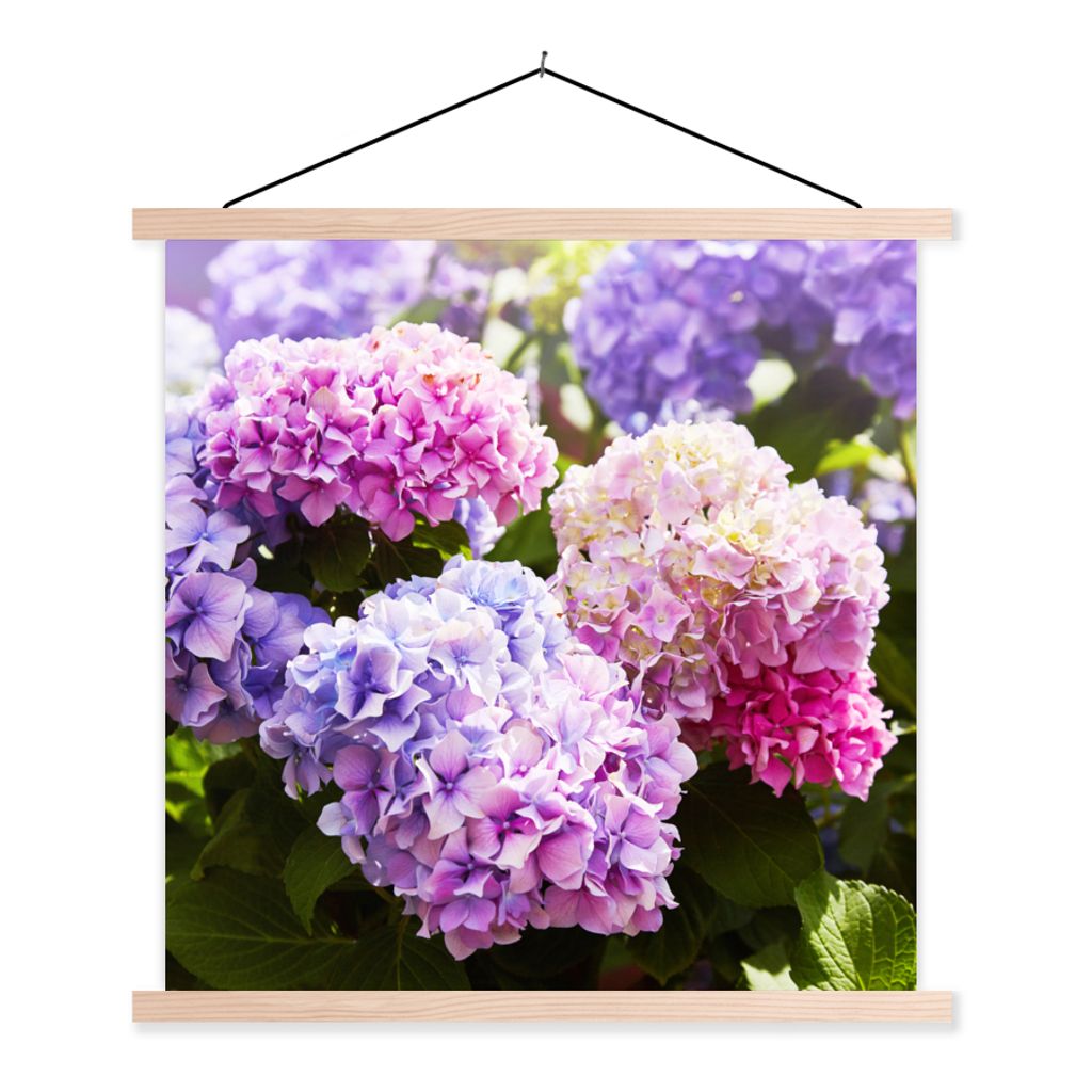 MuchoWow Textilposter Blumen - Hortensie - Rosa - Blätter - Sonne 40x40 cm mit holzfarbenen Rahmen - Posterleiste