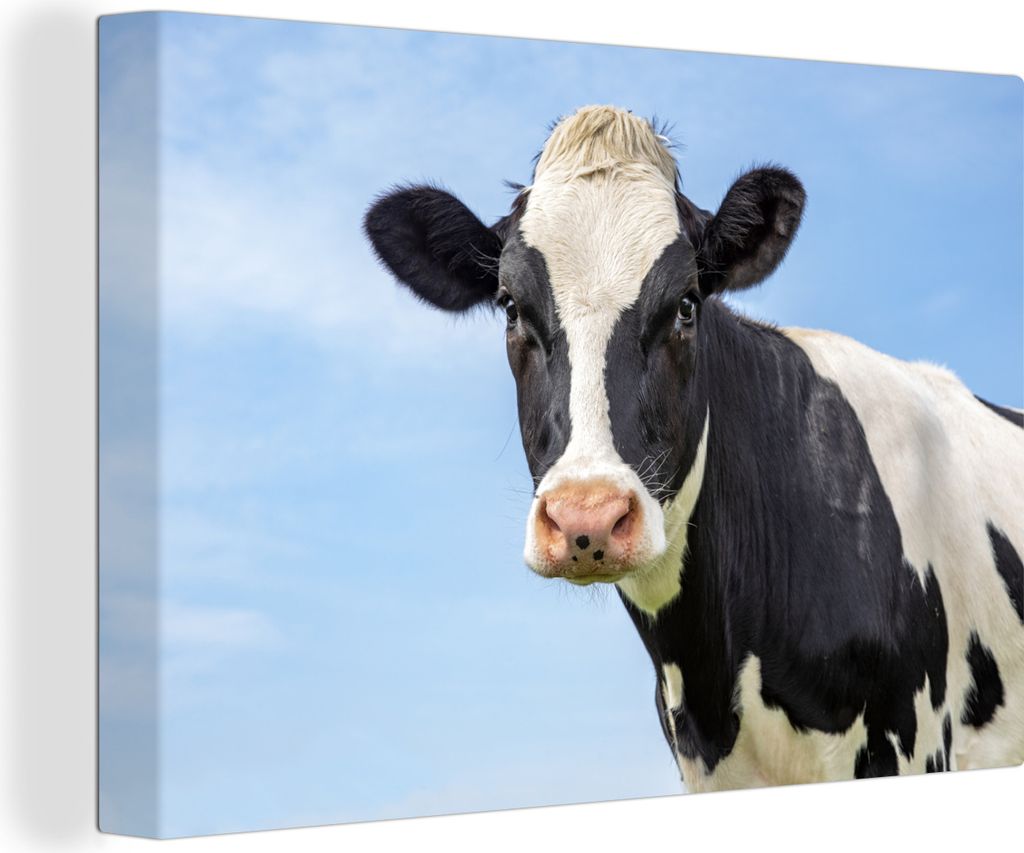 OneMillionCanvasses - Leinwandbilder - 150x100 cm, Kuh - Tiere - Porträt - Himmel, Wandbilder Kunstdruck Wanddekoration