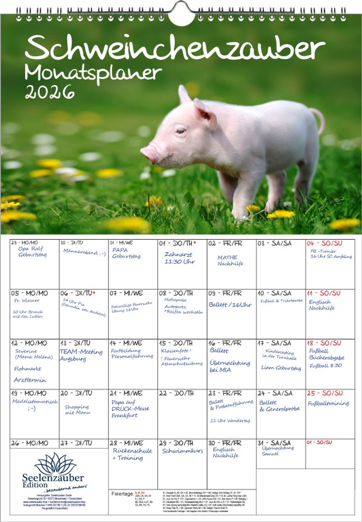 Schweinchenzauber Planer DIN A3 Kalender für 2026 Schweine Schweinchen - Seelenzauber