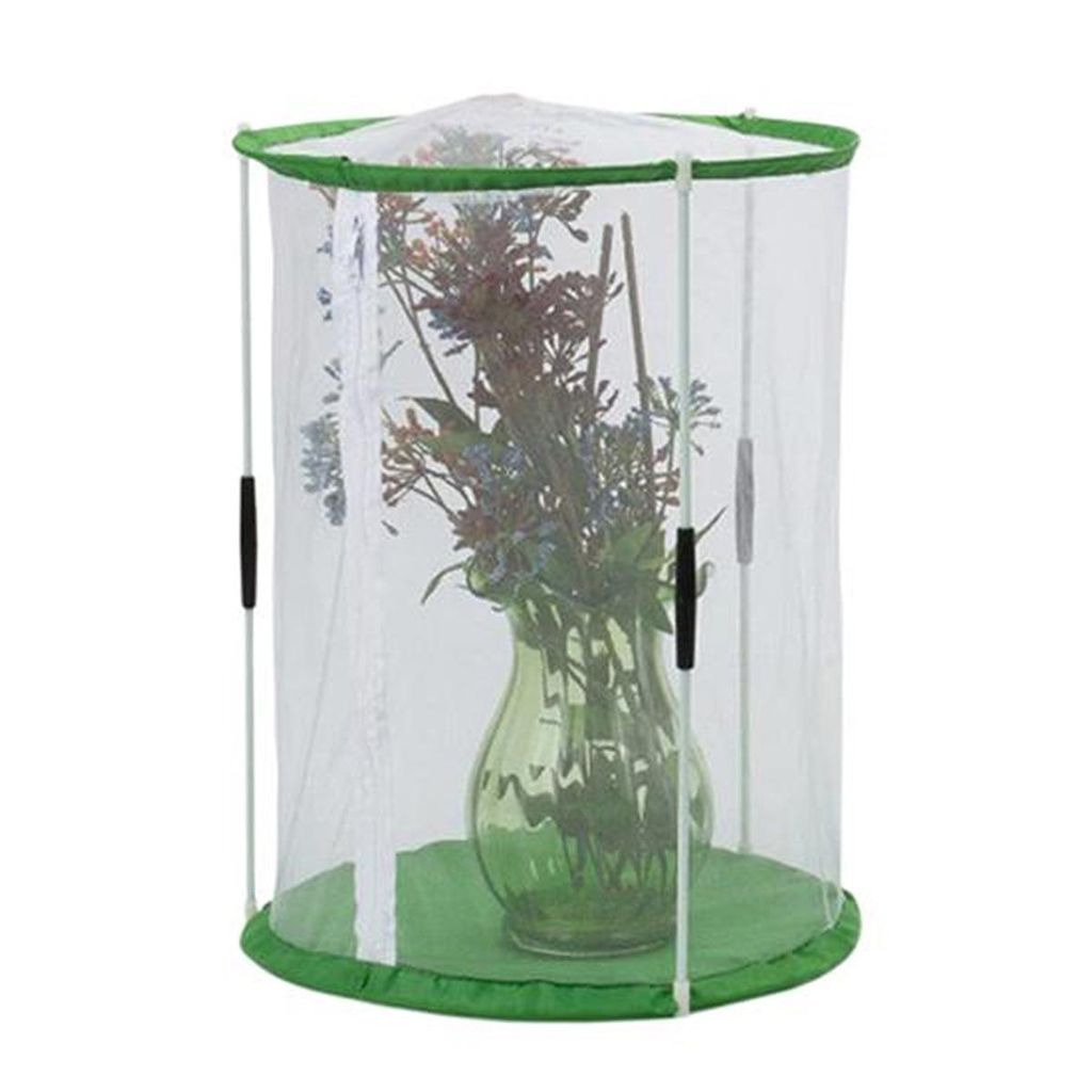 Kleines Schmetterlings-Gewächshaus,transparentes Gewächshaus,30 ×20 cm,Pflanzen-Überwinterungszelt,Mini-Gewächshaus zum Schutz von Pflanzen un...