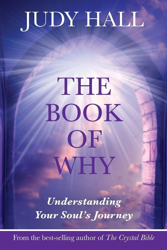 Book Of Why – Lingua: Inglese