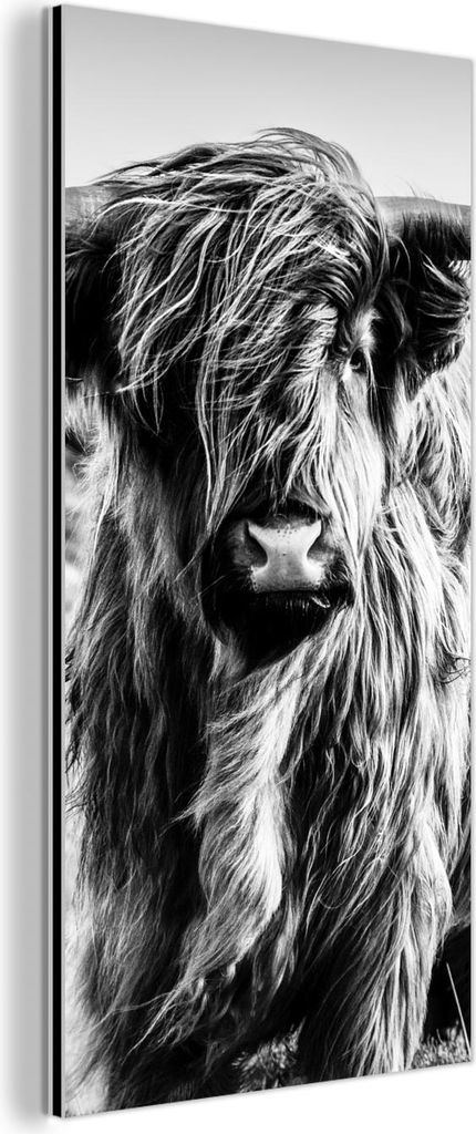 MuchoWow Wanddekoration Metall Metallbild Wandkunst 40x80 cm Schottisches Hochlandrind - Natur - Kuh - Schwarz - Weiß MuchoWow Aluminium Gemälde ...