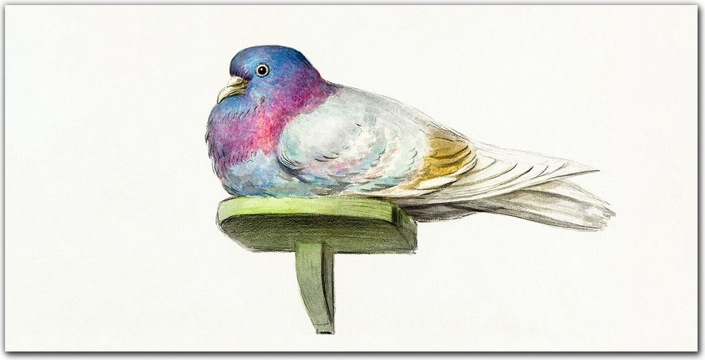 Coloray Bild aus Glas 140x70 glasblock mit bild gehärtetes Glas wohnzimmer Küche Dekoration wanddekoration - Tier Vogel Taube