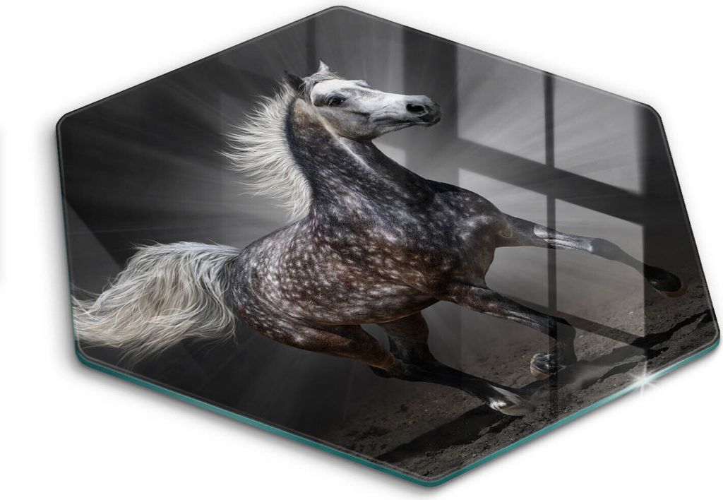 Glasschneideplatte - Herdabdeckplatte - Hexagon 40 cm -Schneidebrett - Spritzschutz - Pferd im Galopp