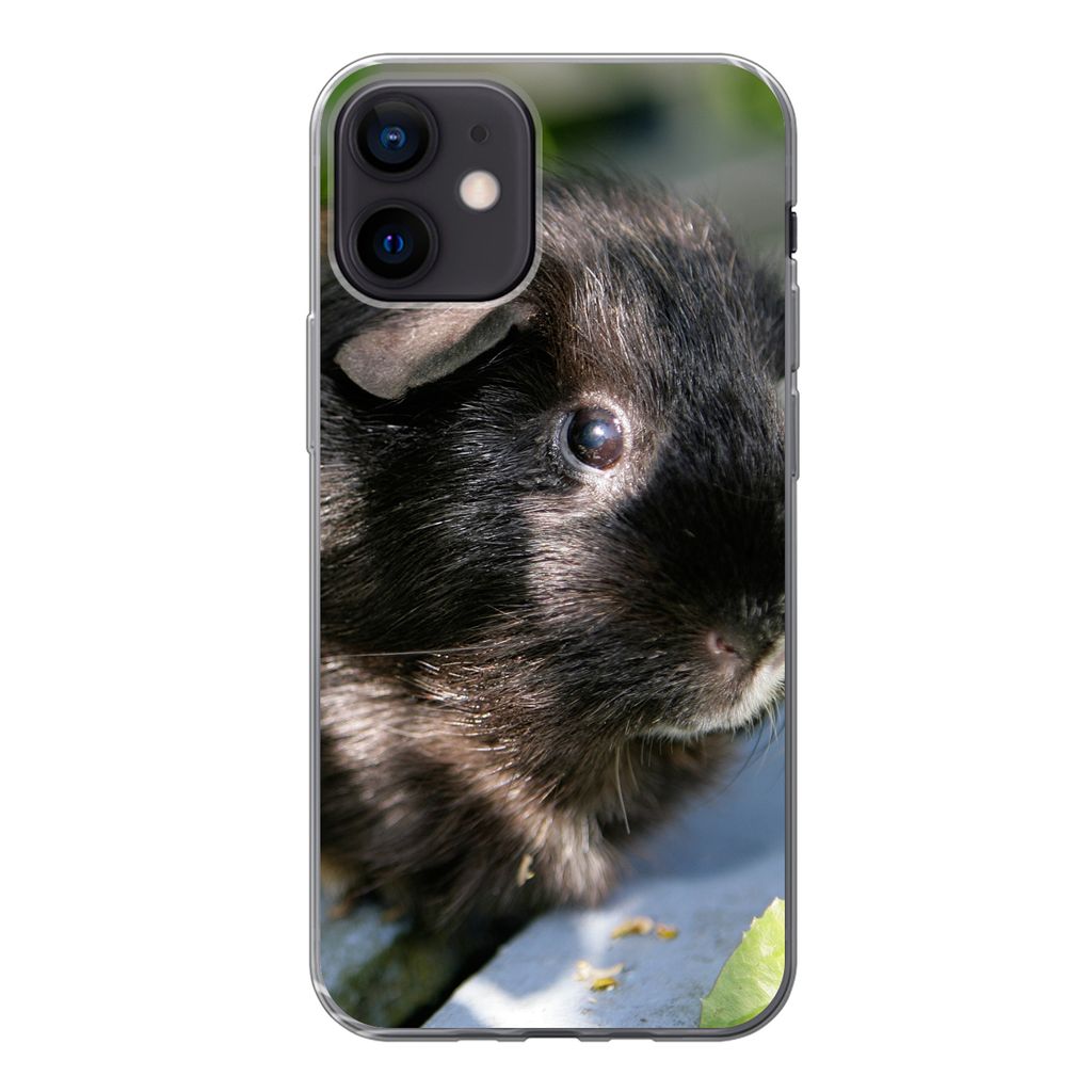 MuchoWow Handyhülle Schutzhülle Hülle für iPhone 12 Meerschweinchen im Garten Silikon Softcase Handy Hülle - Schutzhülle