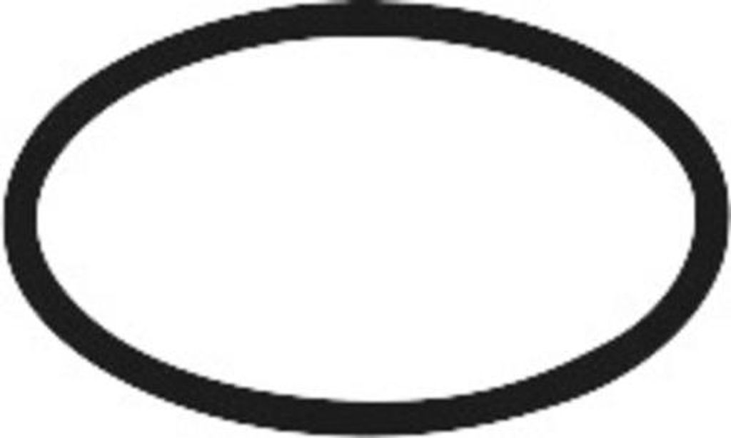 Hansgrohe O-Ring 16x2mm Produktbild 