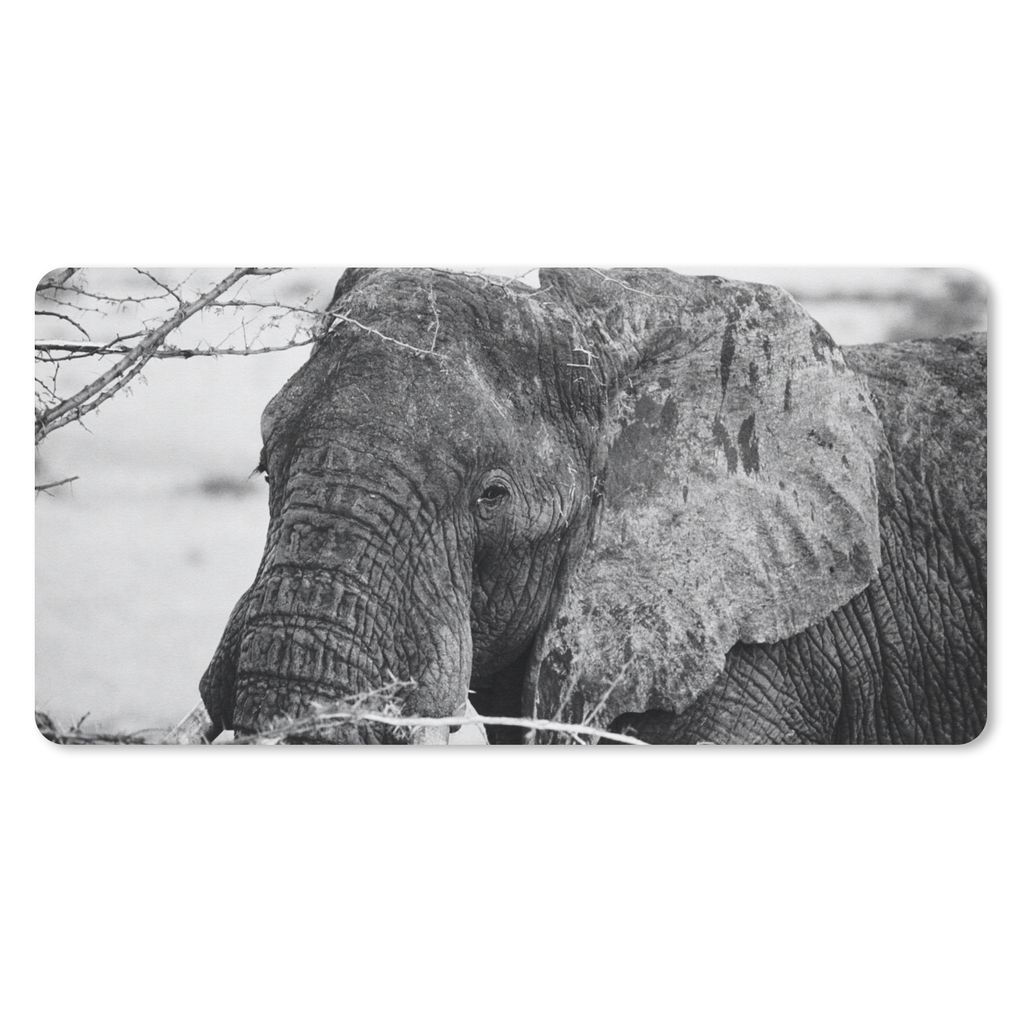 MuchoWow Schreibtischunterlage Elefant - Tiere - Äste - Natur - Schwarz und weiß 80x40 cm - XXL Mauspad - Gaming Mauspad