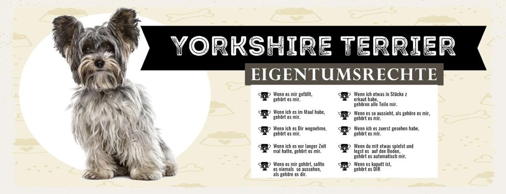 vianmo Holzschild 10x27 cm Hund Yorkshire Terrier Eigentumsrechte