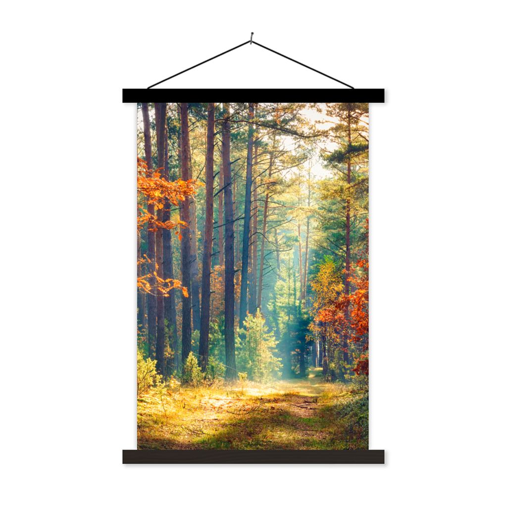 MuchoWow Textilposter Wald - Sonne - Natur - Herbst 60x90 cm mit schwarzem Rahmen - Poster Wohnzimmer